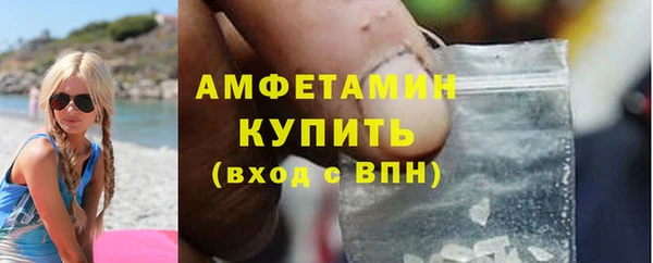 прущие грибы Новочеркасск