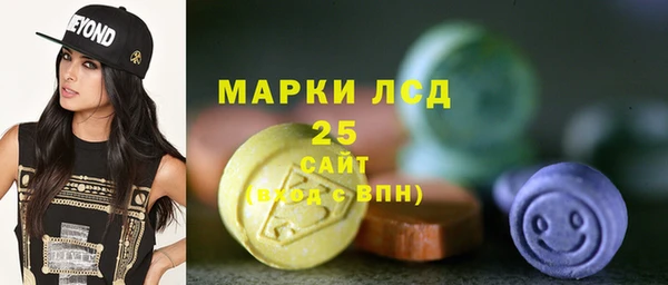 прущие грибы Бронницы