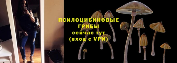 шишки Бугульма